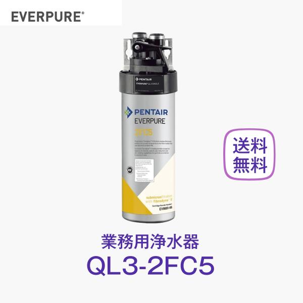 エバーピュア QL3-2FC5 浄水器 業務用 フィルターヘッド付