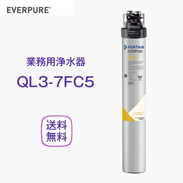 エバーピュア QL3-7FC5 浄水器 業務用 フィルターヘッド付