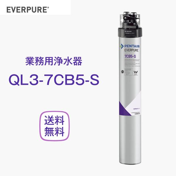 エバーピュア QL3-7FC5-S 浄水器 業務用 フィルターヘッド付