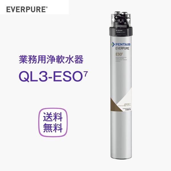 エバーピュア QL3-ESO7 浄軟水器 業務用 フィルターヘッド付
