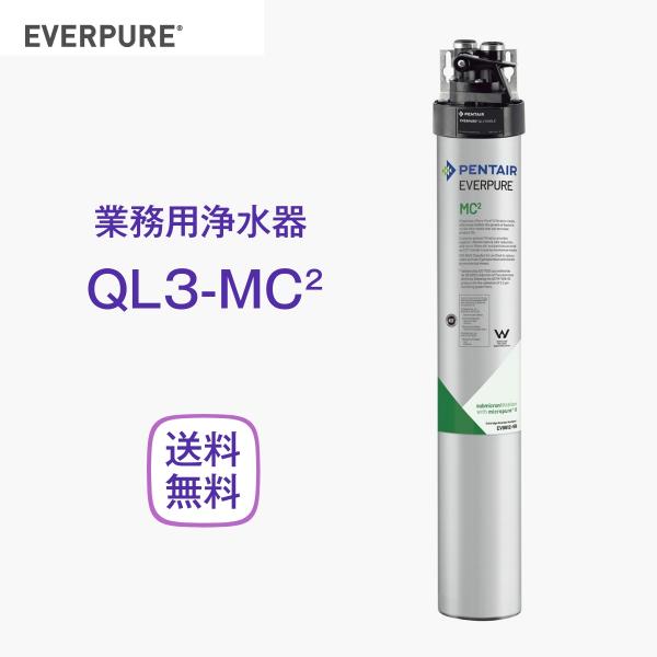 エバーピュア QL3-MC2 浄水器 業務用 フィルターヘッド付 : 厨房