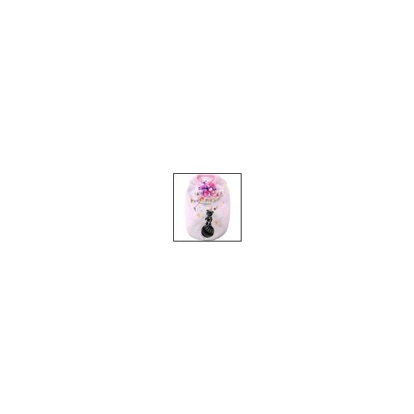 ̕ t  V BonBon Circus^N ACXsN circus circus T[JX T[JX m hbOEFA