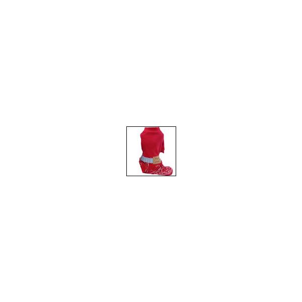 ̕ H ~ RED BANDANA I[C circus circus T[JXT[JX m hbOEFA