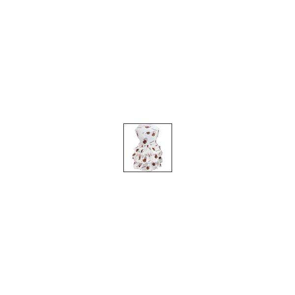 ̕ t  Heart Bear bVtsyHz circus circus T[JXT[JX m hbOEFA