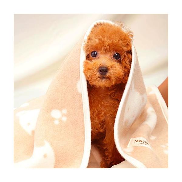 犬の毛布オーガニックコットン犬用ブランケット無地mutter ミュッター Buyee 日本代购平台 产品购物网站大全 Buyee一站式代购bot Online