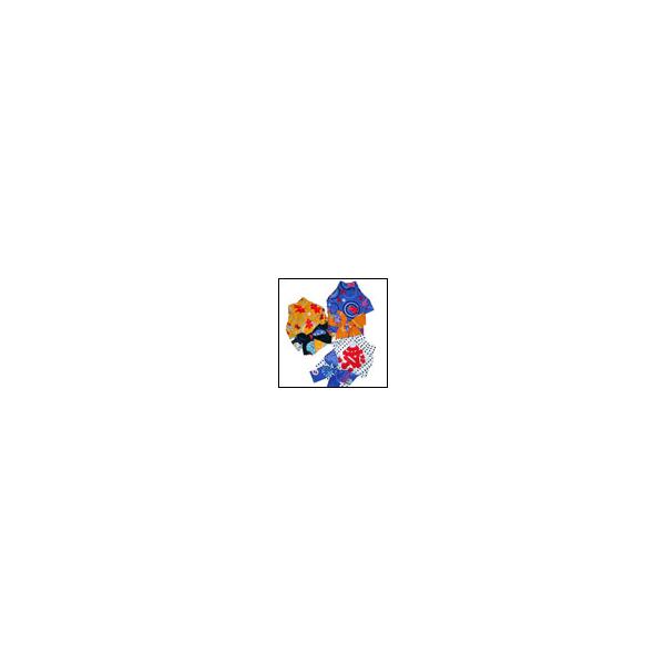 Ղ͂ҁE񂬂嗁 POCO A POCO DOGS ̕