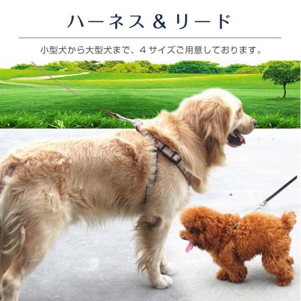ハーネスリード ハーネス 大型犬 おしゃれ セット 中型犬 小型犬 8の字 首輪 胴輪 迷彩 リード ワンタッチ式 かわいい 犬用 Cinc Shop Paypayモール店 通販 Paypayモール