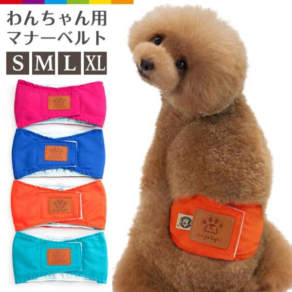 p}i[xg p }i[oh ނJo[ hbOEFA hbOEGA gC s r[ĒǐՂȂ[֑