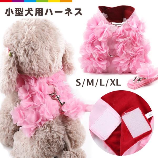 ^ n[lX  U ybg ybgObY U   t tp  t [ht  t[