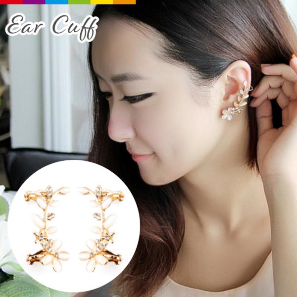 C[Jt CO mz[sAX ANZT[ fB[X Ԃ  