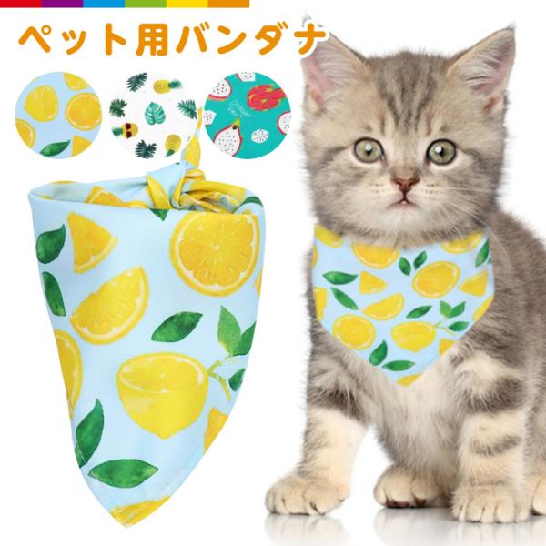 XJ[t o_i ^ hbOEFA 킢 hbO ^ p    ybg  N[