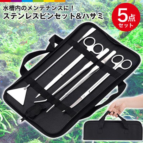  sZbg nT~  eiX 5_Zbg g~OpnT~ XeXnT~ g~OpLbg Thtb^[