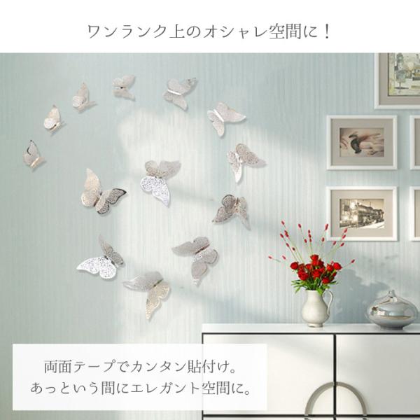 cincshop_cinc-y-2209_1