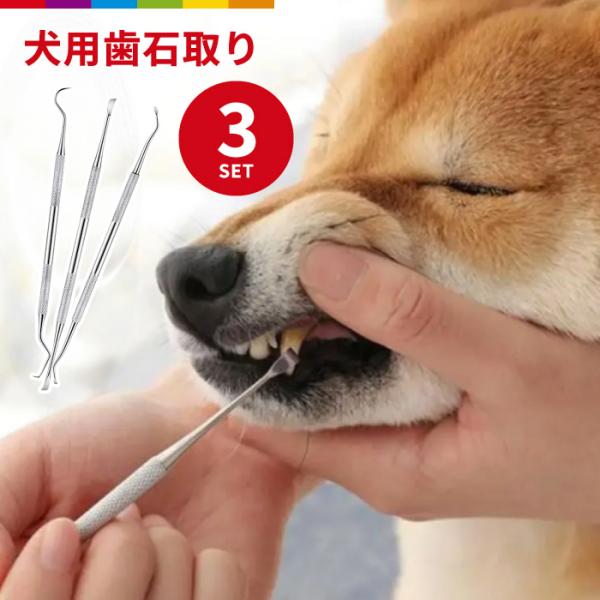 cincshop_cinc-y-3022