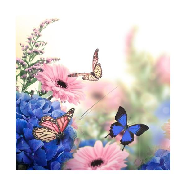 「取寄品」 「写真・フォトアート」 プチ キャンバスアート インテリア 写真 アート Petit Canvas Art バタフライ 美工社 30×30×2.5cm たくさん飾って楽しいお手軽アート フレームがついていない為軽く、届いてすぐに...