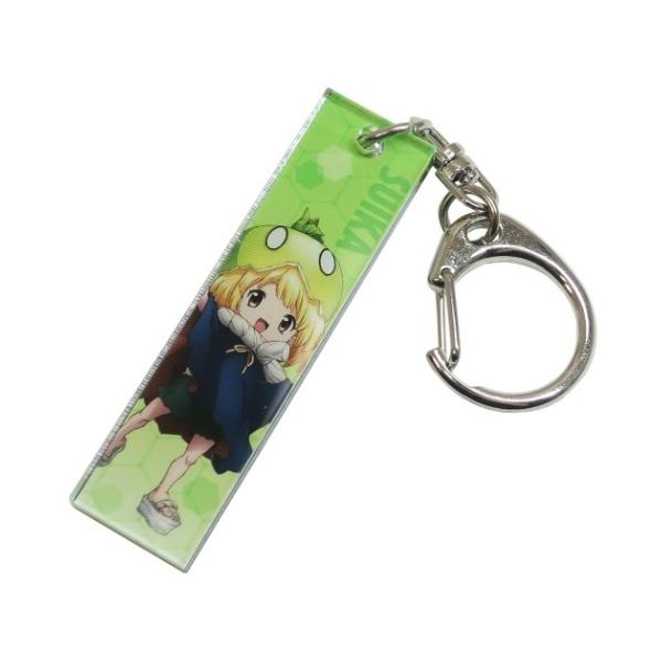 ドクターストーン アクリル スティック キーチェーン キーホルダー スイカ 少年ジャンプ アニメキャラクター グッズ Dejapan Bid And Buy Japan With 0 Commission
