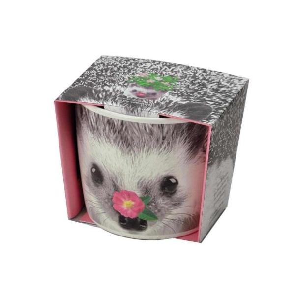 「インテリア雑貨その他」 栽培キット ハナ＆アニマルズ ハリネズミ ミニバラ 聖新陶芸 栽培セット 植物 動物のフェイスポットで育てよう こちらはお部屋で手軽に栽培が楽しめる[HANA&amp;ANIMALS/ハナ＆アニマルズ/ハリネズミ/...