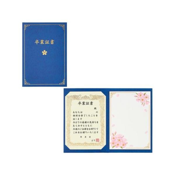 cinemacollection-yj_sro-jsg6-6