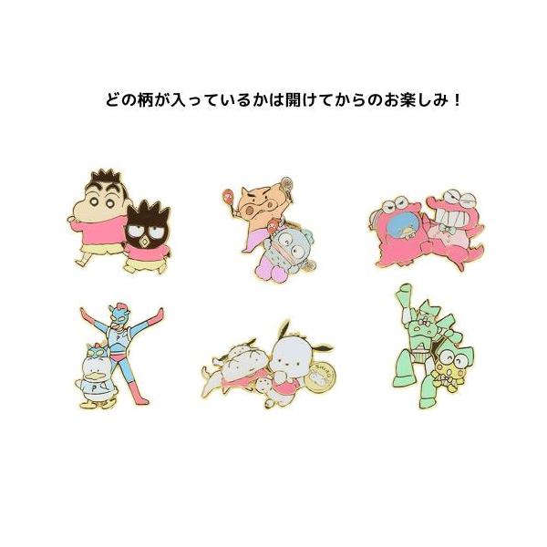 クレヨンしんちゃんxサンリオキャラクターズ ピンバッジ 全6種の内どれ