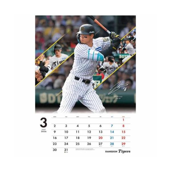 壁掛けカレンダー2026年 阪神タイガース 2026 Calendar トライエックス