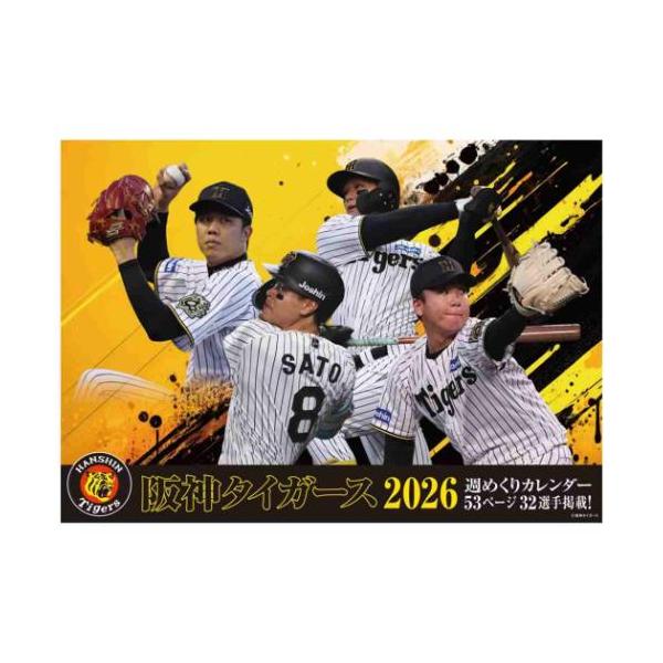 阪神タイガース DESCENTE Professional Tigers 72番 阪神タイガース DESCENTE Professional Tigers 72番