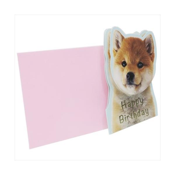 誕生日 カード ねこの人気商品 通販 価格比較 価格 Com