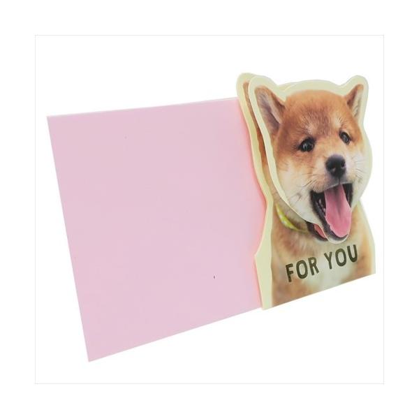 ʂ˂ O[eBOJ[h 炪h鑽ړIJ[h Č   j v[g j̎q ̎q Mtg o^C