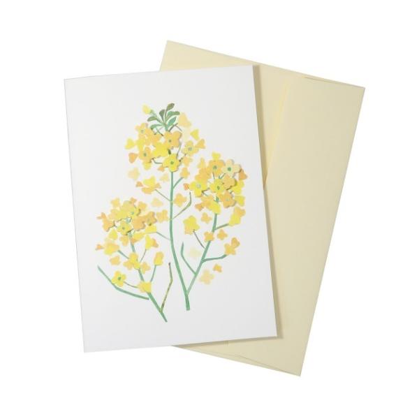 tomocollage O[eBOJ[h Paper Collage Card \GJ[h t2 v[g j̎q ̎q o^C