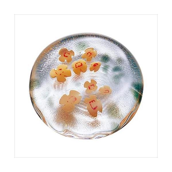 e[uEGA ΒˏɎq Ìyтǂ u KXui5Zbgj Ĥ炦/؍ AfA