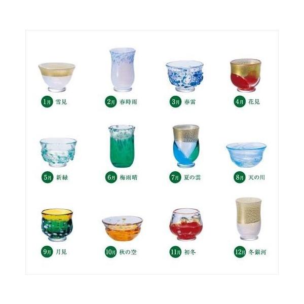 Ìyтǂ MtgG ΒˏɎq  u12RNV AfA 50ml