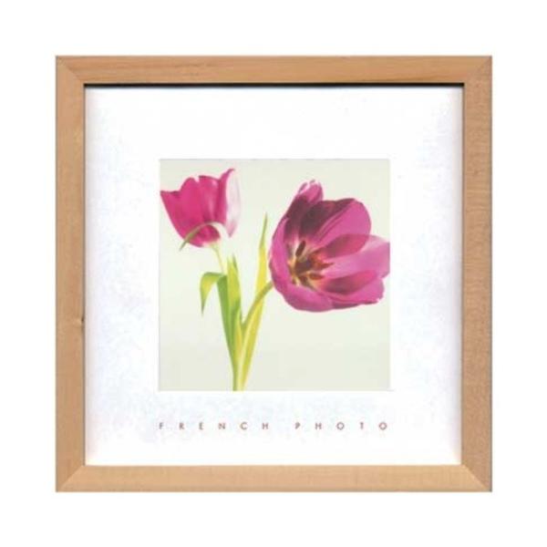 t`tHgOtB[ ʐ^ A[g French Photography Puple Tulips H ZFP-51894