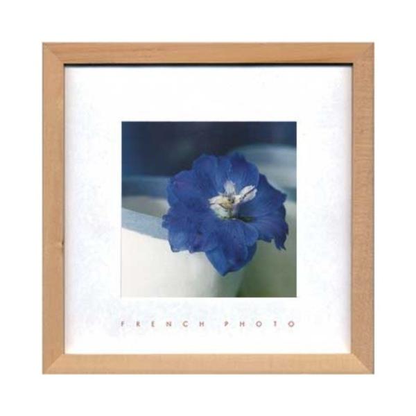 �t�����`�t�H�g�O���t�B�[ �ʐ^ �A�[�g French Photography Delphinium elatum ����