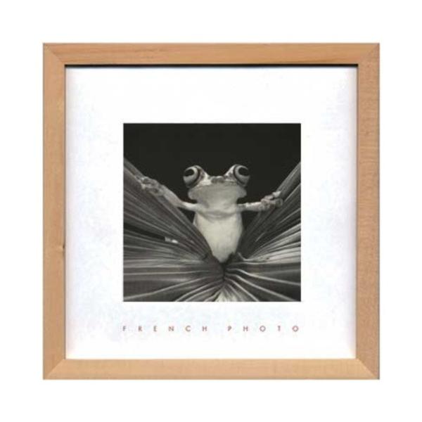 �t�����`�t�H�g�O���t�B�[ French Photography �ʐ^ �A�[�g Tree Frog Queen �C���e���A ����