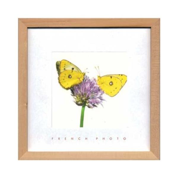 t`tHgOtB[ ʐ^ A[g French Photography Yellow Butterflies H ZFP-51924
