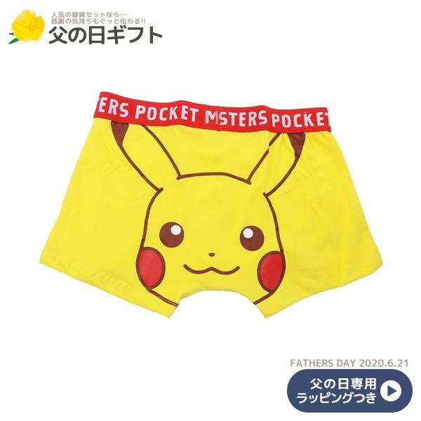 インスピレーション Pmap ポケモン 検索画像の壁紙