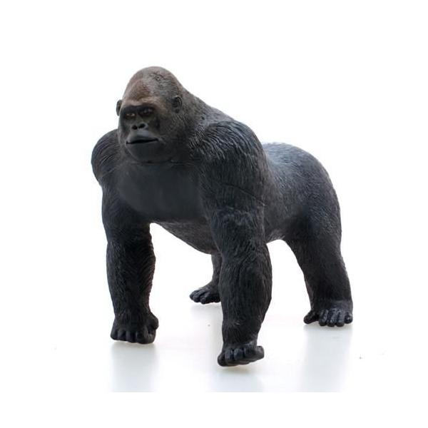 jV[hS rbOTCY tBMA \tgrj[f v[g j̎q ̎q Mtg o^C