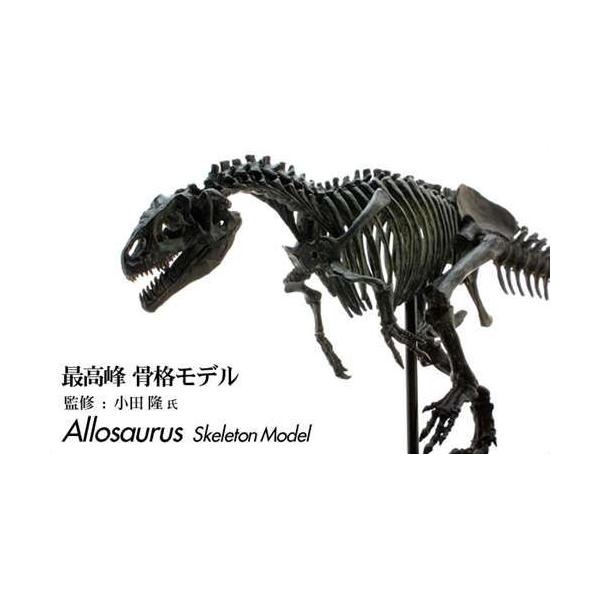 アロサウルス ブラック 最高峰 スケルトンモデル 恐竜グッズ 送料無料