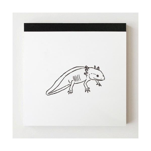  E[p[[p[ XNGA  Animal Series Aj} O[tbV 4100 v[g j̎q o^C