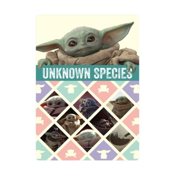 X^[EH[Y }_A ObY ~ fXNpbh THE CHILD STAR WARS LN^[ v[g j̎q o^C