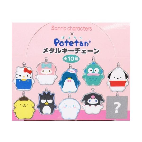 【激レア・レトロ】SANRIO キーチェーン サンリオ キャラクターズ 全10種 sanrio キーホルダー サンリオキャラクターズ メタルキー