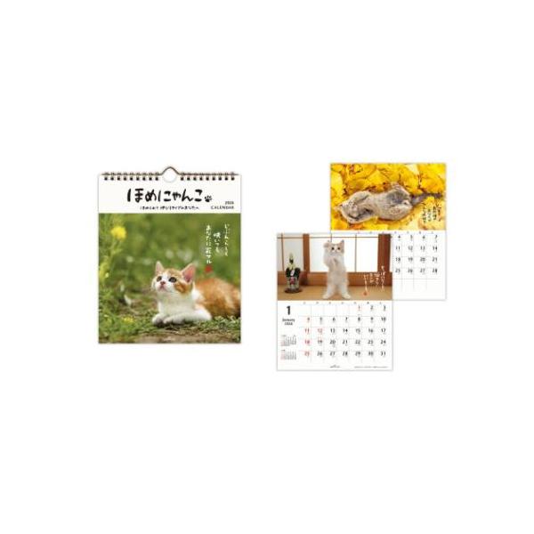 「猫/キャット」 2026 Calendar ほめにゃんこ リングカレンダー壁掛け＆卓上小型カレンダー2026年 ねこ キュートな子猫たちから励ましのメッセージ 褒められて伸びる猫派のあなたへ！ 毎月可愛いネコちゃんたちが褒めてくれる写真入...