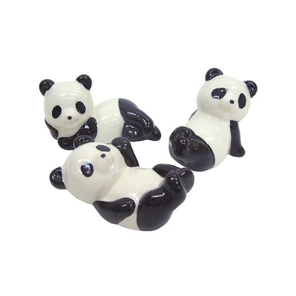 L[gȃp_̔u3Zbg v[g j̎q ̎q Mtg o^C