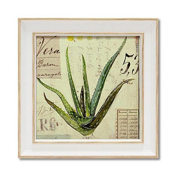 ~j Q A[g t[ AWFEX^[O AGx G A[g|X^[ zt JtF CeA CeA [p[ 19×19cm