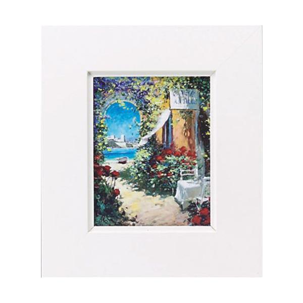 i }RE}EBb` 悮JtF STCY zt|X^[ i