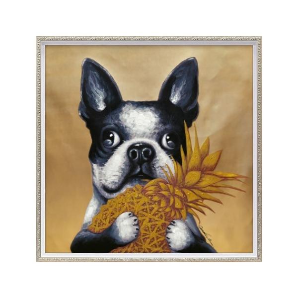 ICyCgA[g  S[hpC MTCY [p[ OP-18042