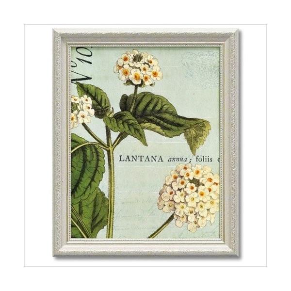 t[A[g Ch Abv X^WI Art Frames [p[ {^j[N u[1 ObY 33×40.5cm Mtg  zt|X^[