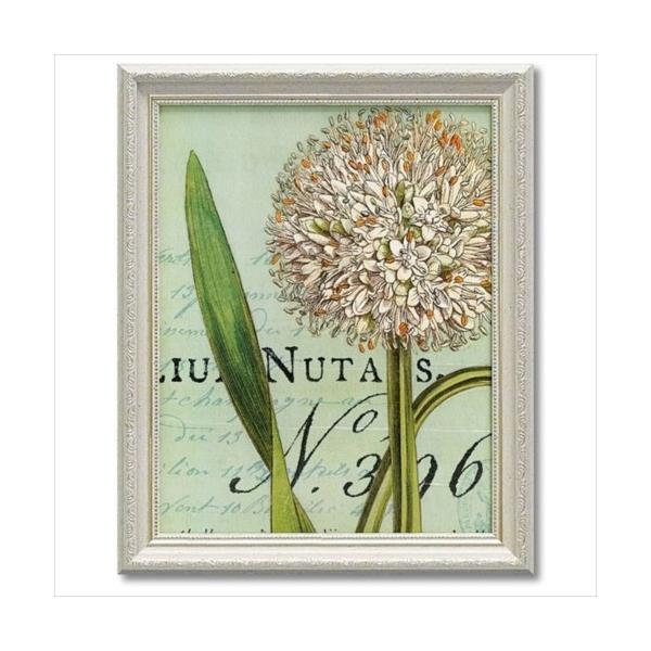 t[A[g {^j[N u[2 Mtg  zt|X^[ Ch Abv X^WI CeA ObY [p[ 33×40.5cm