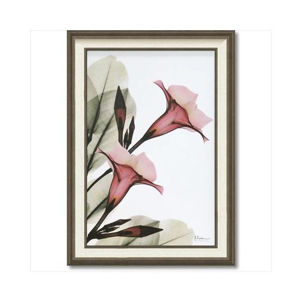 LoX A[g X RAY t[ A[g [p[ gybgt[ MTCY ObY 50×70cm  tHg