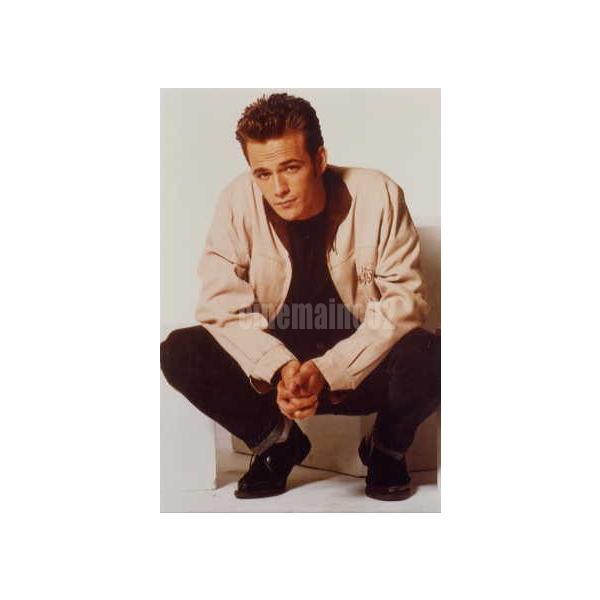 ルーク・ペリー『ビバリーヒルズ高校/青春白書』ディランのミニ