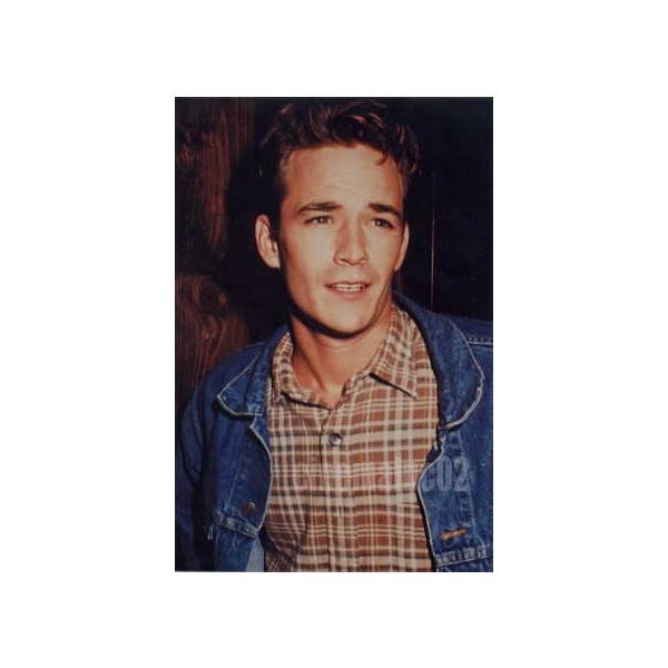 ルークペリー直筆サイン入り超 特大写真…ビバリーヒルズ青春白書